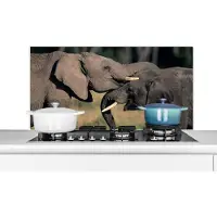 KitchenYeah Spatscherm keuken 100x50 cm - Kookplaat achterwand Olifant - Dieren - Grijs - Natuur - Muurbeschermer - Spatwand fornuis - Hoogwaardig aluminium