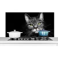 KitchenYeah Spatscherm keuken 120x60 cm - Kookplaat achterwand Huisdieren - Kat - Dieren - Zwart - Wit - Muurbeschermer - Spatwand fornuis - Hoogwaardig aluminium