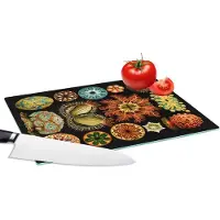 KitchenYeah Glazen Snijplank - 28x20 - Vintage - Ernst Haeckel - Zeedier - Natuur - Zee - Kunst - Snijplanken Glas