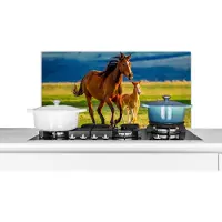 KitchenYeah Spatscherm keuken 80x40 cm - Kookplaat achterwand Paarden - Gras - Dieren - Landschap - Natuur - Muurbeschermer - Spatwand fornuis - Hoogwaardig aluminium