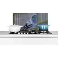 KitchenYeah Spatscherm keuken 60x30 cm - Kookplaat achterwand Duif - Vogel - Paars - Veren - Muurbeschermer - Spatwand fornuis - Hoogwaardig aluminium