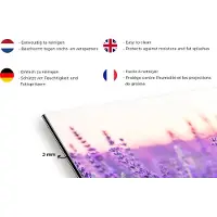 KitchenYeah Spatscherm keuken - Lavendel - Zonsondergang - Bloemen - Paars - Spatwand - Keuken decoratie - 70x30 cm - Achterwand keuken - Muurbeschermer - Spatscherm