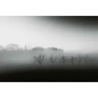 A.S. Création Fotobehang Foggy Landscape DD118932 Designwalls Grijs Vlies 384 X 260 cm (8 delen) 3D Fotobehang