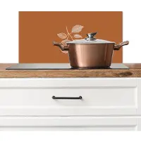 KitchenYeah Spatscherm keuken 60x30 cm - Kookplaat achterwand Sinaasappel - Getekend - Bladeren - Bruin - Muurbeschermer - Spatwand fornuis - Hoogwaardig aluminium