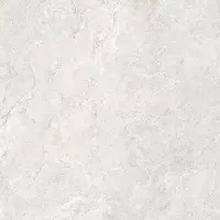 Valence Technology Vista vloertegel pearl 100x100cm grijs licht