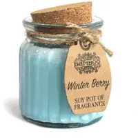 Ancient Wisdom Sojawas kaars in pot - Winterbessen geur