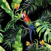 A.S. Création Fotobehang Parrot2 DD116615 Greenery Groen Rood Vlies 260 x 260 cm (2 Teile) Fotobehang