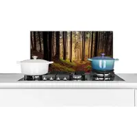 KitchenYeah Spatscherm keuken 60x30 cm - Kookplaat achterwand Bomen - Natuur - Bos - Muurbeschermer - Spatwand fornuis - Hoogwaardig aluminium