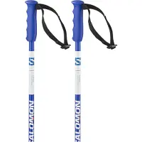 Salomon S/race Junior Stokken