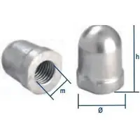Tecnoseal Renault Couach Shaft Nut Zilver 30 mm