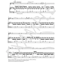 Bärenreiter Vivaldi: Concerto E-flat major op. 8 no. 1 "Spring" - Bladmuziek voor snaarinstrumenten