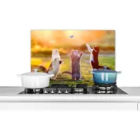 KitchenYeah Spatscherm - Katten - Kat - Vlinder - Zonsondergang - Natuur - Keuken - Muurbeschermer - 70x50 cm - Achterwand keuken - Decoratie keuken - Spatscherm kat - Spatwand