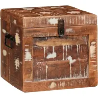 vidaXL Opbergbox met opslag met de deur Bruin Massief Mango Hout