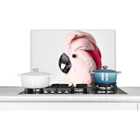KitchenYeah Spatscherm keuken 70x50 cm - Kookplaat achterwand Kaketoe - Roze - Dieren - Natuur - Muurbeschermer - Spatwand fornuis - Hoogwaardig aluminium