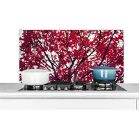 KitchenYeah Spatscherm keuken 100x50 cm - Kookplaat achterwand Esdoorn - Bladeren - Herfst - Natuur - Muurbeschermer - Spatwand fornuis - Hoogwaardig aluminium