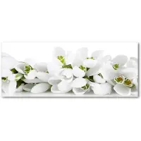 Tulup Glasschilderij - Foto Glas Witte Sneeuwklokjes - 125 cm x 50 cm - Weiß Glas Foto - Foto In Glas - Moderne Glaspanelen - Foto In Glas - Glaskunst voor de Badkamer