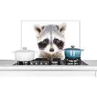 KitchenYeah Spatscherm keuken 70x50 cm - Kookplaat achterwand Wasbeer - Dieren - Natuur - Wit - Muurbeschermer - Spatwand fornuis - Hoogwaardig aluminium