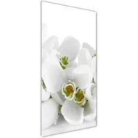 Tulup Glasschilderij - Foto Glas Witte Sneeuwklokjes - 50 cm x 125 cm - Weiß Glas Foto - Foto In Glas - Boheemse Glaskunst - Foto In Glas - Glaskunst voor de Badkamer