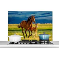KitchenYeah Spatscherm keuken 100x65 cm - Kookplaat achterwand Paarden - Gras - Dieren - Landschap - Natuur - Muurbeschermer - Spatwand fornuis - Hoogwaardig aluminium