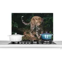 KitchenYeah - Spatscherm keuken - Spatscherm - Luipaard - Bos - Bladeren - Dieren - Keuken decoratie - Keuken achterwand - Muurbeschermer - 80x55 cm - Spatwand - Spatscherm gasfornuis