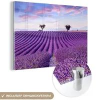 MuchoWow Glasschilderij - Acrylglas - Foto op glas - Lavendel - Bomen - Bloemen - Paars - 180x120 cm - Glasschilderij natuur - Wanddecoratie glas - Schilderij paars - Kamer decoratie