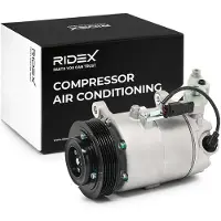 RIDEX 447K0591 Aircopomp