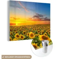 MuchoWow Glasschilderij - Foto op glas - Zonnebloem - Bloemen - Veld - Geel - Acrylplaat - Glasschilderij bloemen - Schilderij natuur - 120x90 cm - Acrylglas - Wanddecoratie - Muurdecoratie