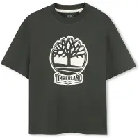 Timberland T-shirt Korte Mouw T60422 kind 10 jaar
