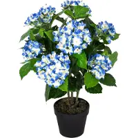 Homescapes kunstplant blauw 'hortensia' in pot, 70 cm