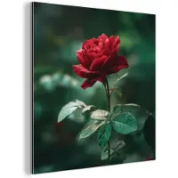 MuchoWow Aluminium schilderij 20x20 cm - Wanddecoratie metaal - Roos - Bladeren - Dieprood - Metalen muurdecoratie woonkamer - Decoratie industrieel - Foto op dibond - Industriële accessoires slaapkamer