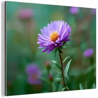 MuchoWow Aluminium schilderij 80x60 cm - Wanddecoratie metaal - Aster - Paars - Bloem - Blaadjes - Metalen muurdecoratie woonkamer - Decoratie industrieel - Foto op dibond - Industriële accessoires slaapkamer