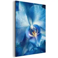 MuchoWow Aluminium schilderij 120x160 cm - Wanddecoratie metaal - Blauw - Orchidee - Elegeant - Metalen muurdecoratie woonkamer - Decoratie industrieel - Foto op dibond - Industriële accessoires slaapkamer