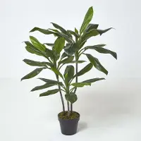 Homescapes Cordyline Fruticosa kunstplant in pot - 100 cm