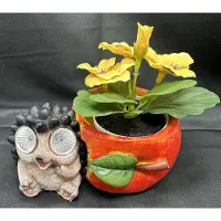 Impuls Polyresin solarlamp "Egel met bloempot" - meerkleurig - met 2 LEDs - Staand model - hoogte 8 x 14 x 13 cm - Exclusief bloempot - Tuindecoratie - Tuinverlichting