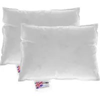 Homescapes Kussenvulling Set van 2 – 40x30 cm – Ganzendons & Veren Binnenkussens – 100% Katoen Tijk – OEKO-TEX & RDS Gecertificeerd