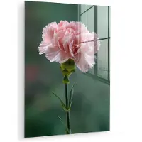 MuchoWow Glasschilderij 120x160 cm - Schilderij acrylglas - Anjer - Roze - Bloemblaadjes - Foto op glas - Muurdecoratie woonkamer - Wanddecoratie slaapkamer - Schilderijen