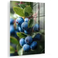 MuchoWow Glasschilderij 120x160 cm - Schilderij acrylglas - Blauwe bessen - Dauwdruppels - Natuurlijk licht - Foto op glas - Muurdecoratie woonkamer - Wanddecoratie slaapkamer - Schilderijen