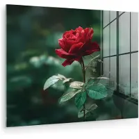 MuchoWow Glasschilderij 160x120 cm - Schilderij acrylglas - Roos - Bladeren - Dieprood - Foto op glas - Muurdecoratie woonkamer - Wanddecoratie slaapkamer - Schilderijen