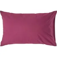 Homescapes Kussensloop 50x75 cm – Bordeaux – 100% Egyptisch Perkal Katoen – 200 TC