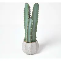 Homescapes Kunstcactus Hylocereus in cementpot, 49 cm hoog