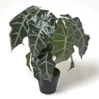 Homescapes Alocasia Kunstplant in Pot Olifantoor 50 cm