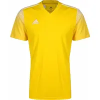 Adidas - Regista 20 Jersey - Teamwear - S - Geel