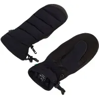 Oakley Apparel B1b Winter Handschoenen