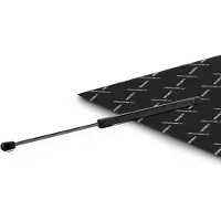 RIDEX 219G1283 Gasveer achterklep