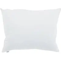 vidaXL Hoofdkussen 2 st 40 x 60 cm Katoen Wit
