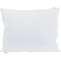 vidaXL Hoofdkussen 2 st 60 x 80 cm Veer Wit