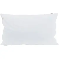 vidaXL Hoofdkussen 2 st 40 x 80 cm Veer Wit