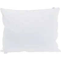 vidaXL Hoofdkussen 2 st 40 x 60 cm Veer Wit