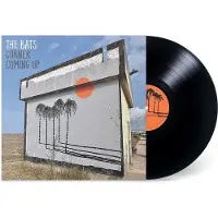 Konkurrent The Bats - Corner Coming Up (LP)