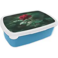 MuchoWow Broodtrommel Blauw - Lunchbox Roos - Bladeren - Dieprood - Brooddoos 18x12x6 cm - Brood lunch box - Broodtrommels voor kinderen en volwassenen